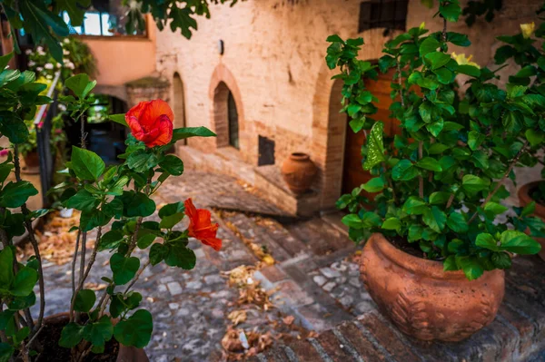 Medieval architecture of village in Umbria, magic of Spello.