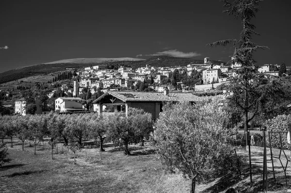 Black and white photo of magic of Spello, an ancient medieval village in Umbria