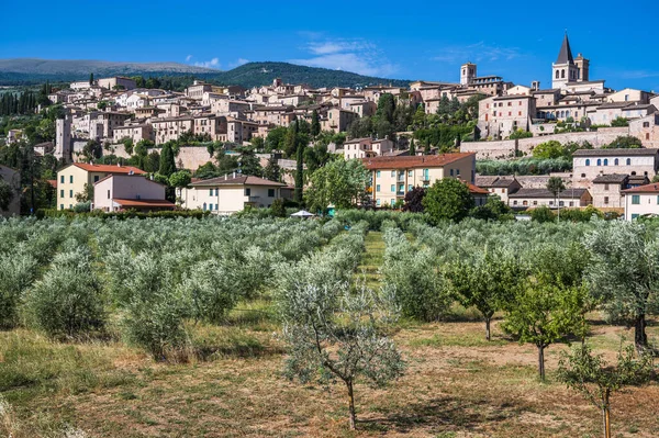 Magic of Spello, an ancient medieval village in Umbria