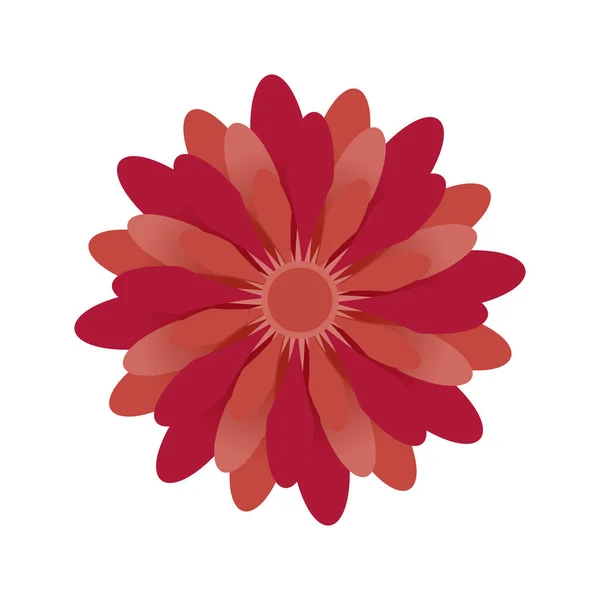 Цветочный Красный Цвет Цветочные Иконки Векторная Иллюстрация Дизайн — стоковый вектор