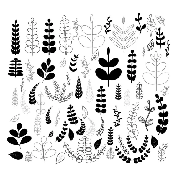 Set Doodles Leaves Branches Herbs Plants Silhouette Branches Isolated White — Stock Vector