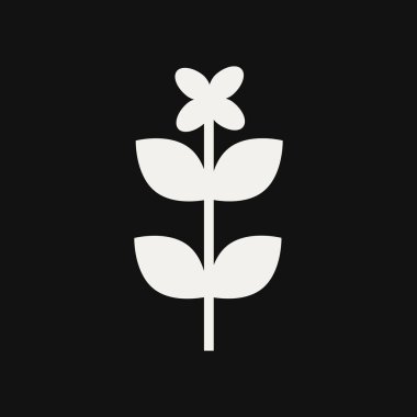 Siyah arkaplan Vektör İllüstrasyonunda Beyaz Çiçek ve Yapraklar