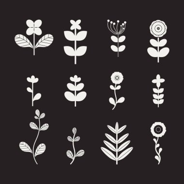 Set of White Flowers and Leafs on black background Vector Illustration