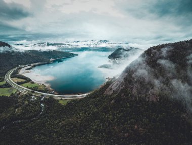 Norveç 'te kıyısı olan bir ormanın havadan görüntüsü