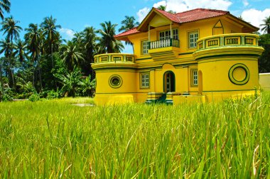 Riau Etnik Evi, Sumatra Endonezya 'nın uzun otlarıyla çevrili., 