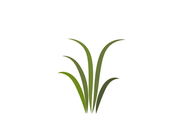 Green Grass Gazon Vector Icon Web Version — Stock Vector