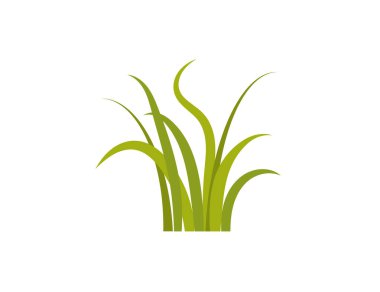 Yeşil çimenler. Gazon. Vektör simgesi. web sürümü.