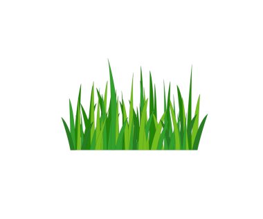Yeşil çimenler. Gazon. Vektör simgesi. web sürümü.