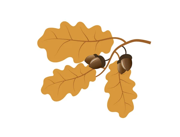 Acorn Oak Nut Seed Cartoon Flat Style Vector Illustration — Stockvektor
