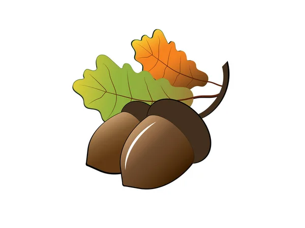 Acorn Oak Nut Seed Cartoon Flat Style Vector Illustration - Stok Vektor
