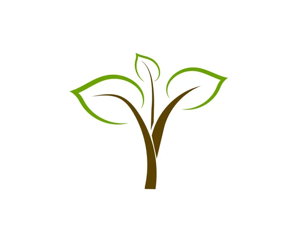 Flat Green Grass Gazon Vector Icon Web Version — Stok Vektör
