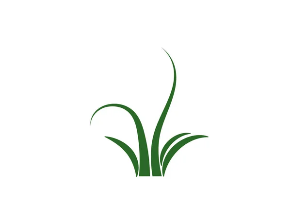 Green Grass Gazon Vector Icon Web Version — Stock Vector