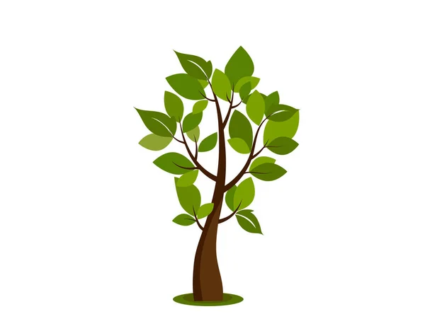 Tree Icon Nature Park Vector Image — Stock Vector