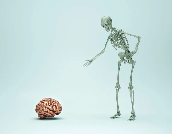 Squelette Montrant Cerveau Humain Concept Maladie Mentale Psychologie Ceci Est — Photo