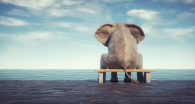 Elephant sitting on bench admiring the ocean. This is a 3d render illustration clipart