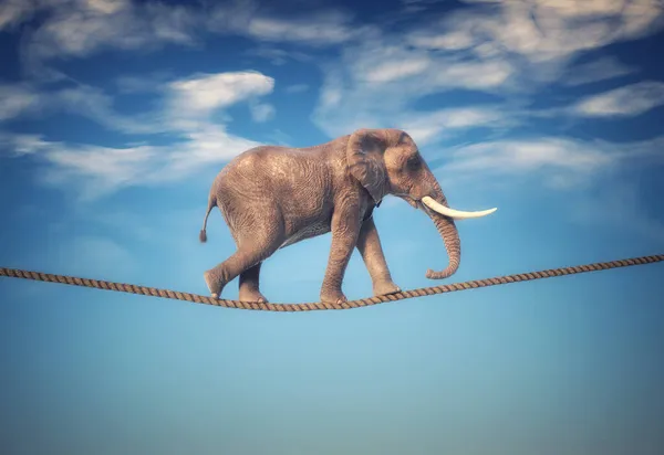 Elefante Caminando Sobre Una Cuerda Esta Una Ilustración Renderizado — Foto de Stock