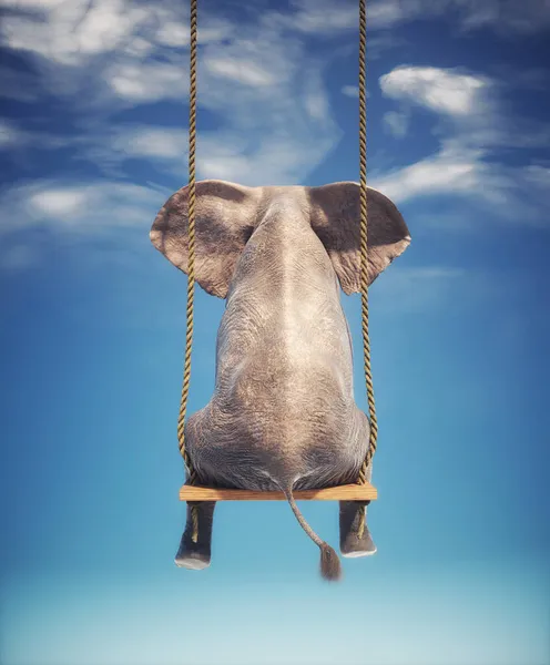 Elefante Sentado Num Baloiço Conceito Liberdade Felicidade Esta Uma Ilustração — Fotografia de Stock