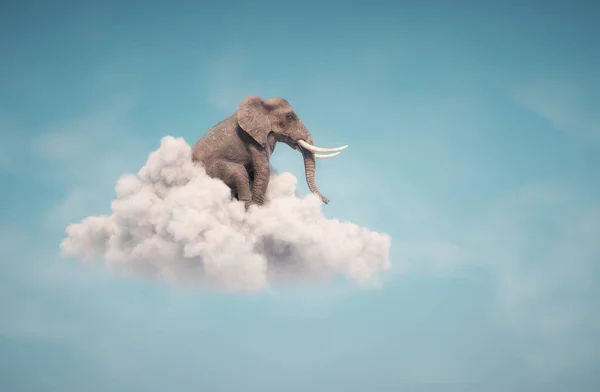 Elefante Sentado Una Nube Cielo Concepto Ensueño Aspiraciones Esta Una — Foto de Stock