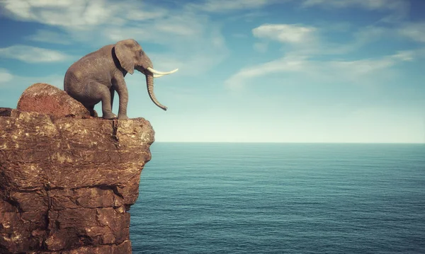 Elefanten Sitter Klippa Och Beundrar Havet Detta Render Illustration — Stockfoto
