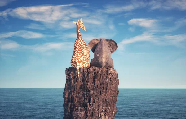 Éléphant Une Girafe Assis Sur Rocher Admirant Océan Amitié Partenariat — Photo