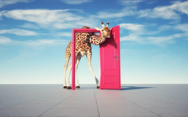 Giraff Tar Sig Genom Dörr Nyfikenhet Strävan Koncept Detta Render — Stockfoto