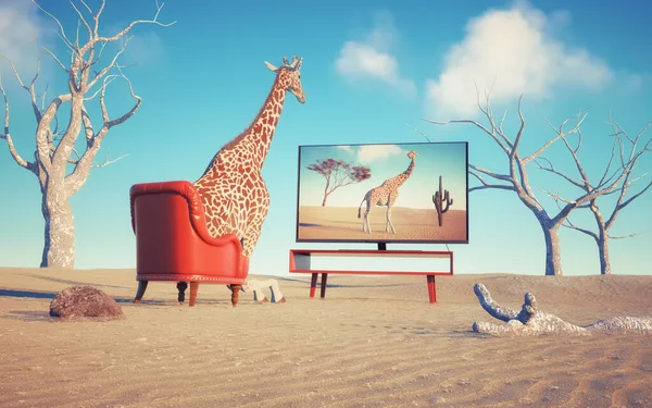 Giraffe Sits Armchair Desert Looking Self Awareness Creativity Concept Render — Stockfoto