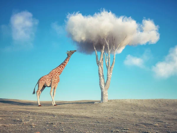 キリンは雲の木から食べる やる気とやる気のコンセプト これは3Dレンダリング図です — ストック写真