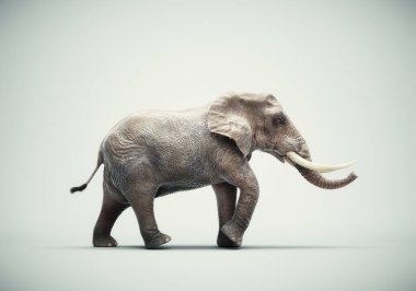 Elephant on a white background. This is a 3d render illustration
