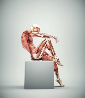 Muscular system of a man posing on a cube. Uniqueness and complexity concept. This is a 3d render illustration clipart