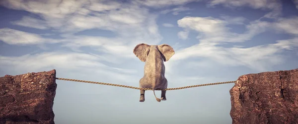 Elefanten Sitter Slackline Rep Ovanför Ett Mellanrum Mellan Två Bergstoppar — Stockfoto