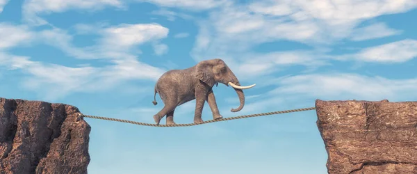 Elefantpromenader Slackline Rep Ovanför Ett Mellanrum Mellan Två Bergstoppar Risktagande — Stockfoto
