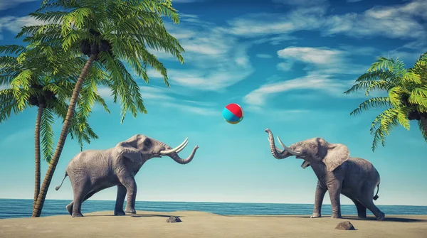 Elefanter Leker Med Boll Tropisk Strand Semester Och Lycka Koncept — Stockfoto