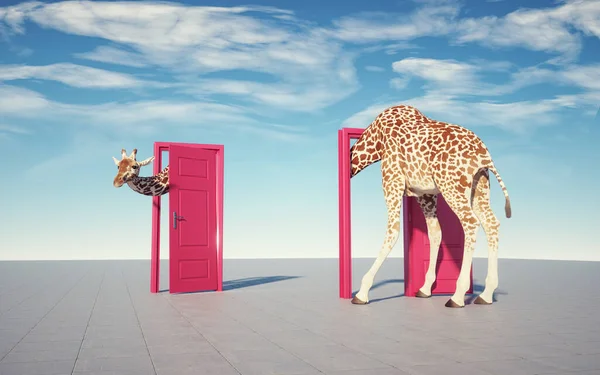 Giraffen Går Genom Dörr Och Kommer Genom Annan Möjligheter Och — Stockfoto