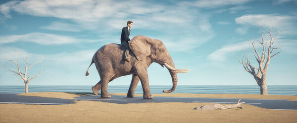 Man rides an elephant in the desert. Travel and adventure concept. This is a 3d render illustration