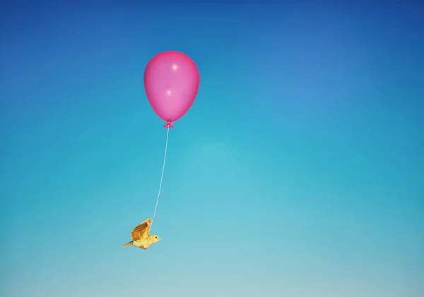 Balonla Uçan Kuş Destek Yatırım Konsepti Boyutlu Bir Çizim — Stok fotoğraf