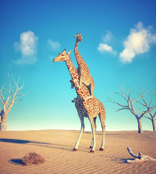 Zürafa tatlıda bir zürafa daha taşıyor. Arkadaşlık ve bağlılık kavramı. Bu 3 boyutlu bir çizim.