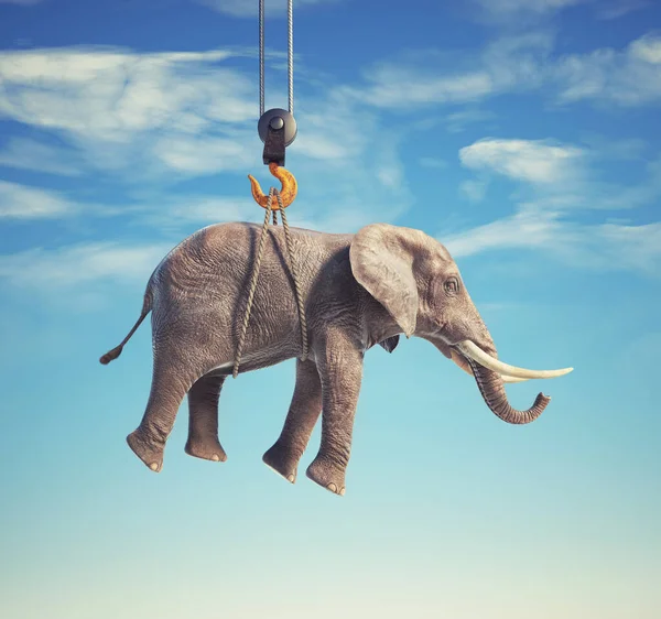 Elephant Carried Hook Dreaming Aspiration Concept Render Illustratio — Stockfoto