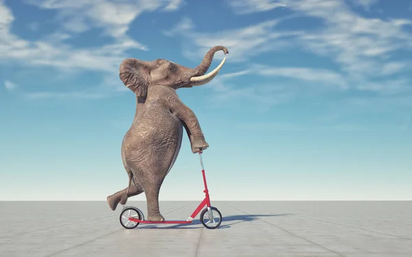 Elephant Riding Scooter Impossible Happiness Concept Render Illustration — ストック写真