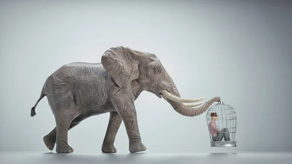 象は中に男がいる鳥籠を持っている 自由と脱出の概念 これは3Dレンダリング図です — ストック写真
