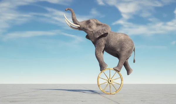 Elefante Bailando Sobre Una Rueda Concepto Imposible Pasional Esta Ilustración — Foto de Stock