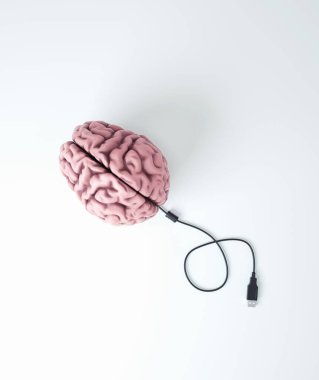 Human brain with unplugged usb cable. Mental health and meditation concept. This is a 3d render illustration