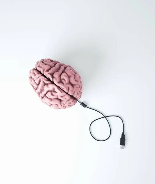 Human Brain Unplugged Usb Cable Mental Health Meditation Concept Render — 스톡 사진