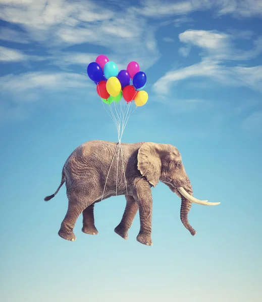 Elephant Flying Balloons Dreaming Aspiration Concept Render Illustration — Foto Stock