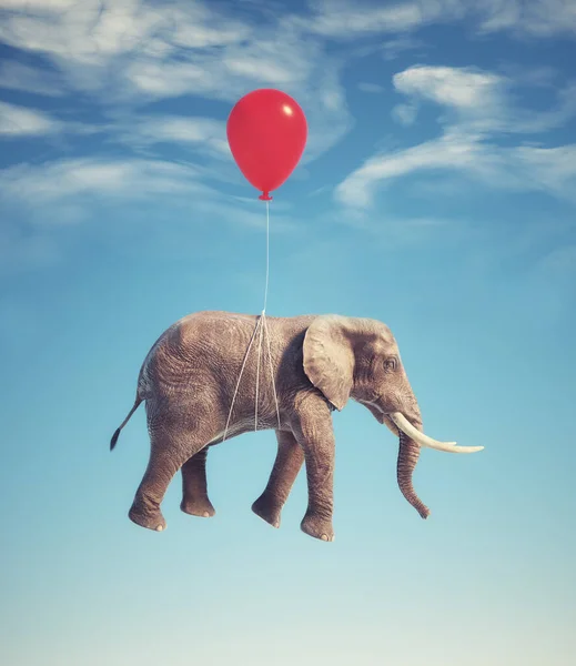 Elephant Flying Balloons Dreaming Aspiration Concept Render Illustration — Foto Stock