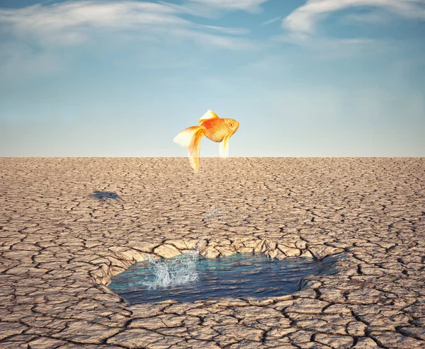 Golden fish jumps off a water puddle in the desert. Escape and stuck concept. This is a 3d render illustration