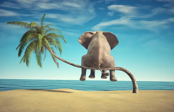Elefante Erge Sottile Ramo Palma Guardare Oceano Questa Illustrazione Rendering — Foto Stock