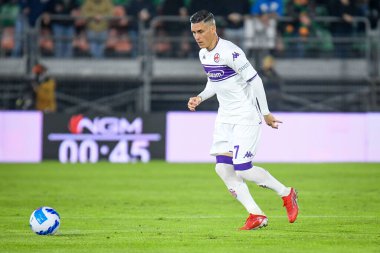 Fiorentina 'nın Jose Maria Callejon portresi İtalyan futbol takımı Serie A maçında Venezia FC, ACF Fiorentina' ya karşı Venedik, İtalya 'daki Pier Luigi Penzo Stadyumu' nda 18 Ekim 2021 - Fotoğraf: Ettore Griffoni