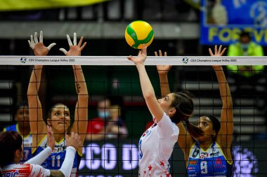 Tijana Vrcelj (ZOK Ub), 24 Kasım 2021 'de İtalya' nın Treviso kentinde oynanan PalaVerde maçında CEV Şampiyonlar Ligi Kadınlar Voleybol Ligi karşılaşmasında A. Carraro Imoco Conegliano ile ZOK Ub Sırbistan karşı karşıya geldi.