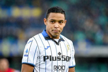 Atalanta 'nın İtalya futbolu sırasındaki Luis Muriel portresi Serie A maçında Hellas Verona FC, Atalanta BC' ye karşı Marcantonio Bentegodi Stadyumu 'nda 12 Aralık 2021 - Fotoğraf: Ettore Griffoni
