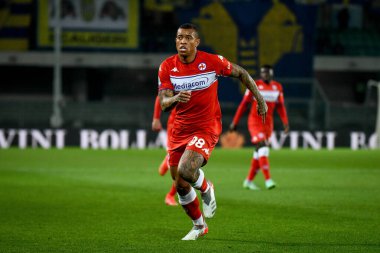 Fiorentina 'nın Igor' u İtalya 'nın Serie A maçı sırasında İtalya' nın Verona kentindeki Marcantonio Bentegodi Stadyumu 'nda Hellas Verona FC' ye karşı ACF Fiorentina (Arşiv portreleri) maçı yapıyor.